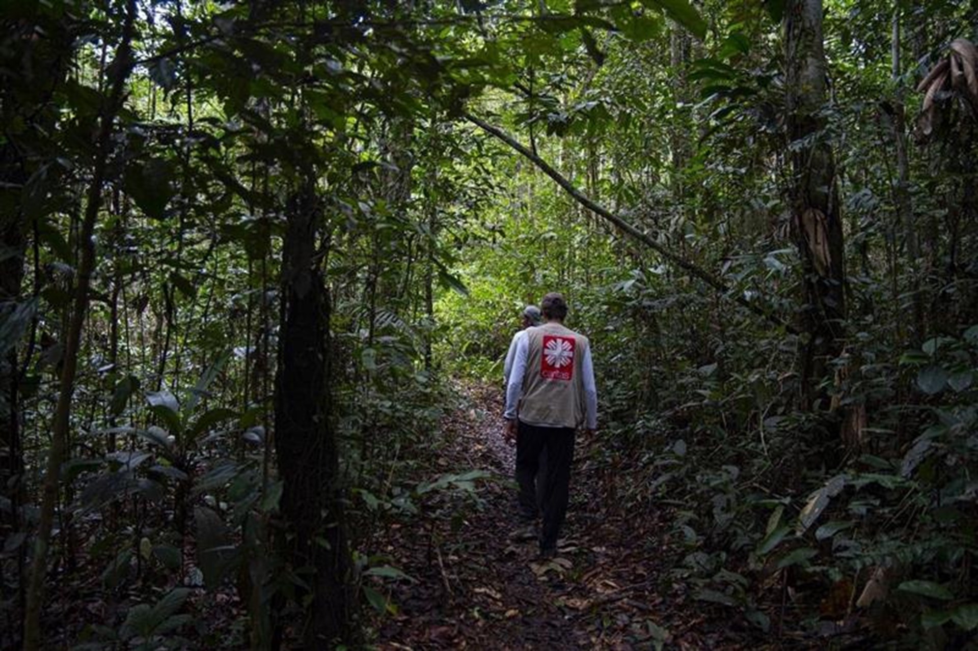 Unsere Partner vor Ort sind an der Wiederaufforstung des kolumbianischen Regenwaldes beteiligt