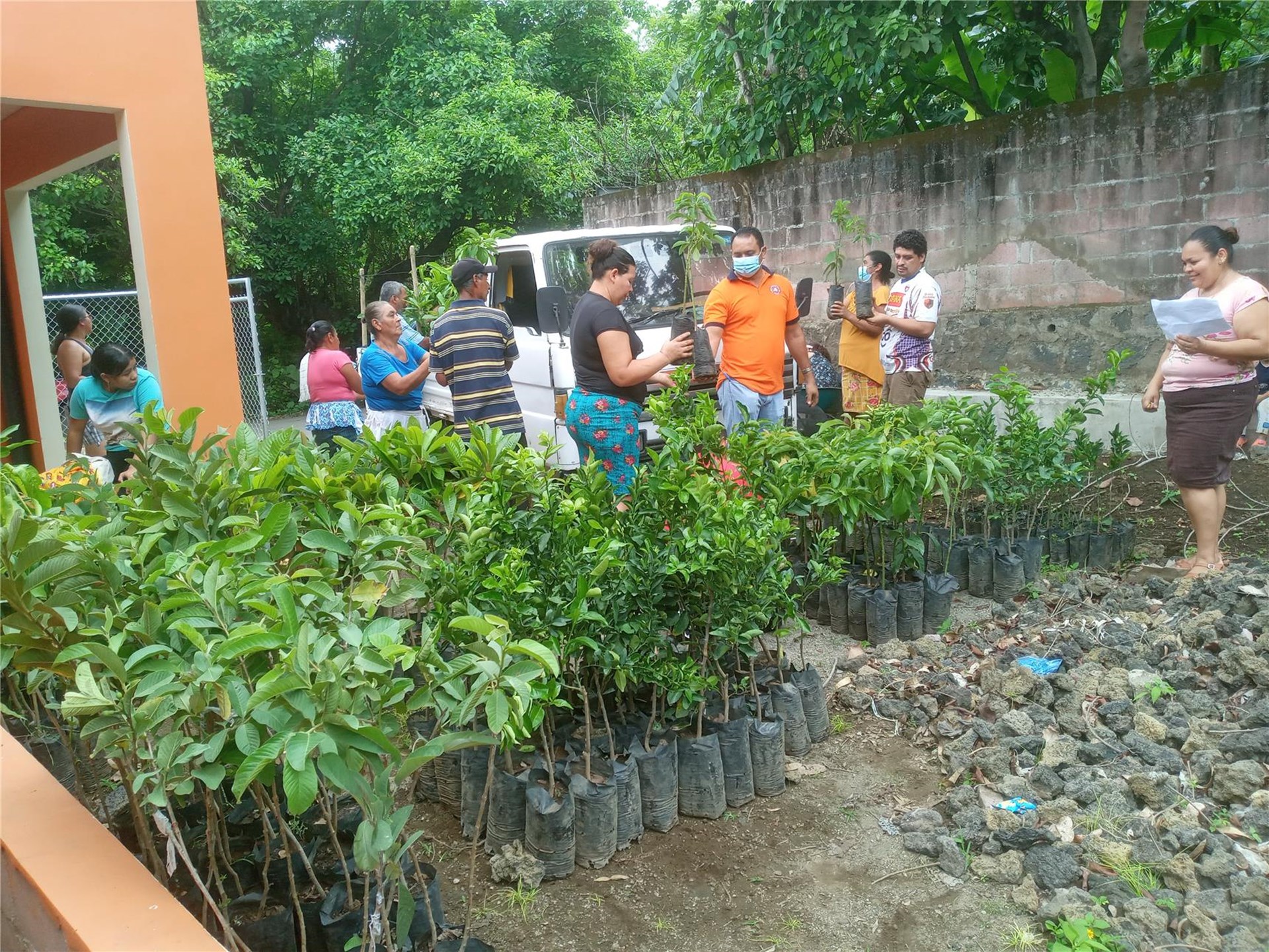 El Salvador: Setzlinge für Kleingärten werden verteilt
