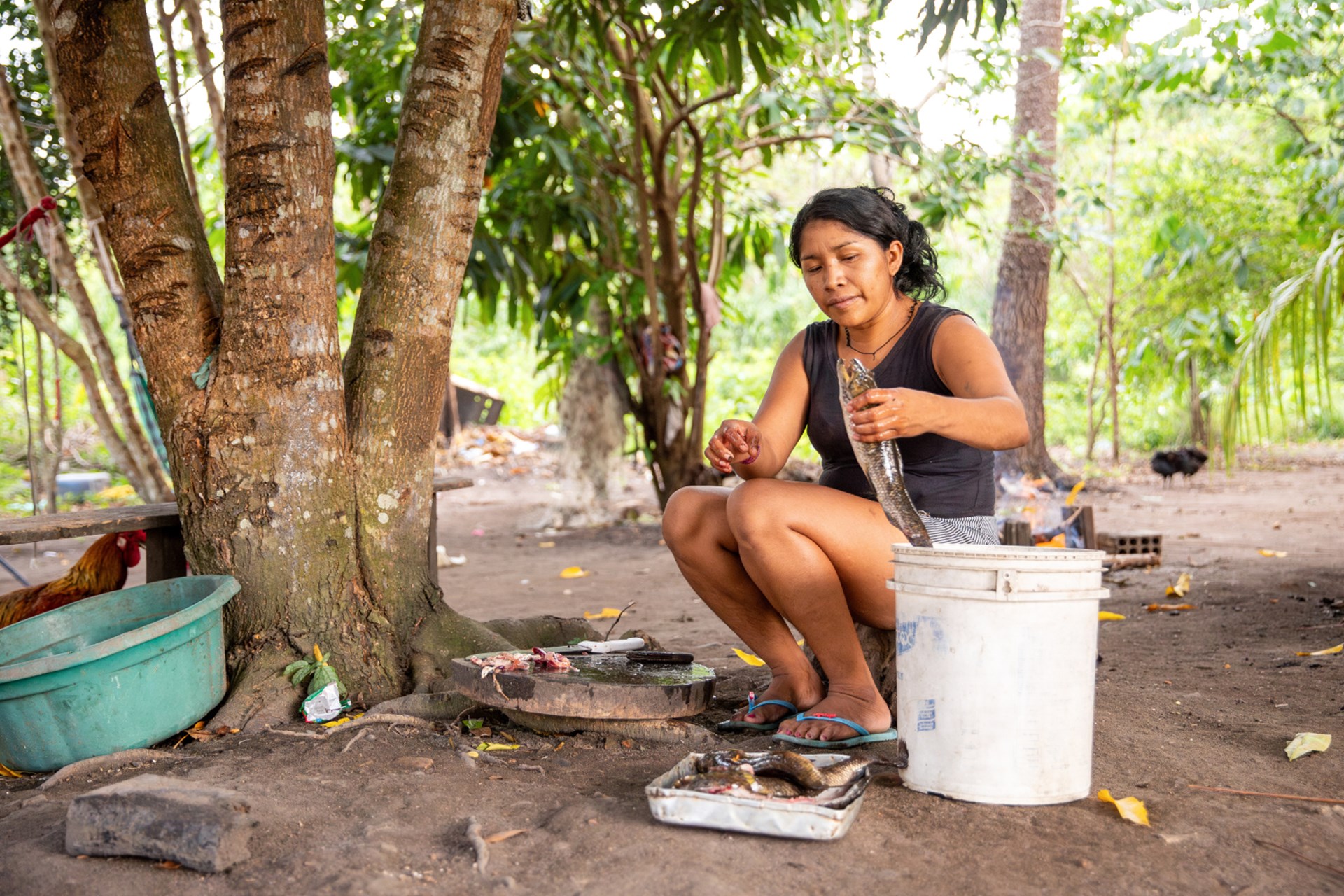 Brasilien Headerbild Munduruku